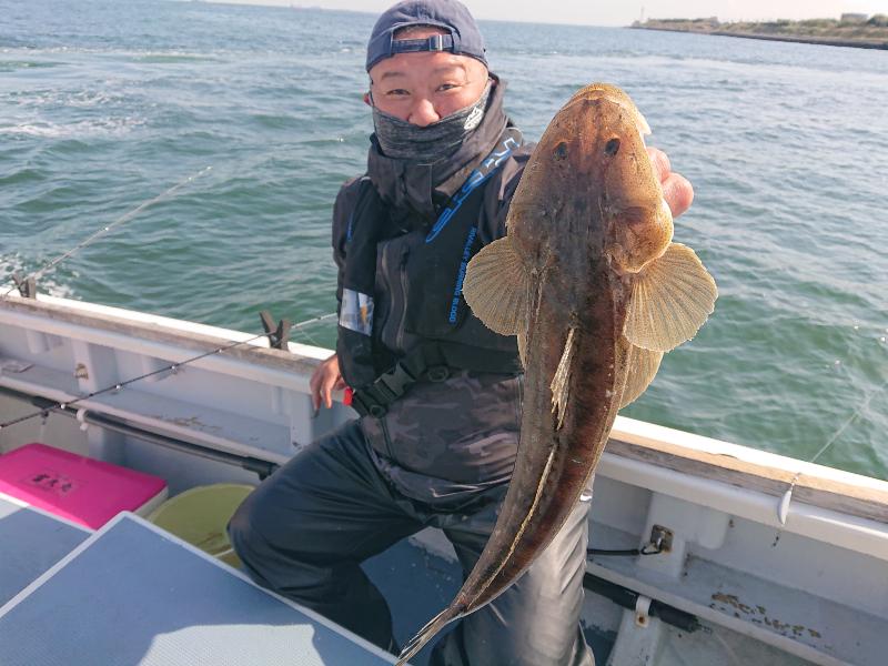 東京湾 釣り船ガイド 深川吉野屋 釣果情報