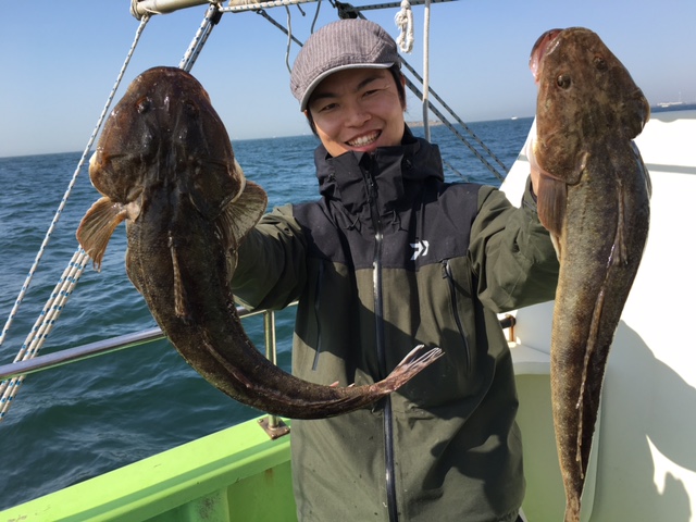 東京湾 釣り船ガイド 深川吉野屋 釣果情報